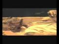 скачать фильм чудеса корана 1-4 ч