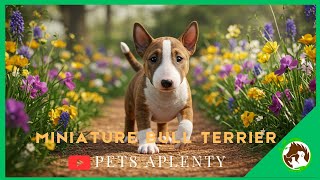 Bull Terrier Miniature Votre Fidèle Ami Pour La Vie