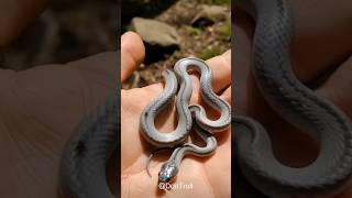 Small To Big Transformation