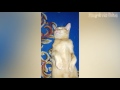 Funny Cats Sleeping - Funny Cute Cats Compilation - Sleeping Cats Part 2