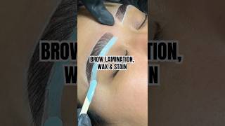 Brow Ltion, Wax & Stain