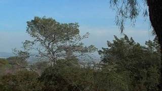Й. Ашлаг (Бааль Сулам). "Ки хилацта нафши" (Music of Baal Sulam - Ki Hilatzta Nafshi)