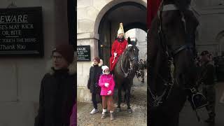Sweet Girl Rubbing Royal Guard Horse With Her Glubs
