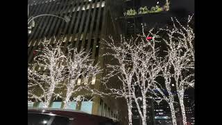 Belladream Films In Bronx World Film - Cycle 2019