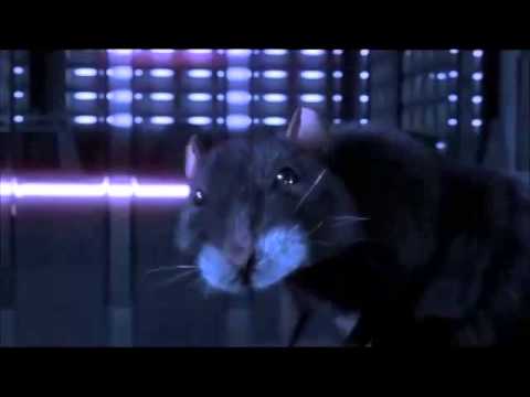 Rats in my Bed Video
