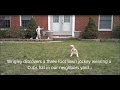 Morkie & The Lawn Jockey