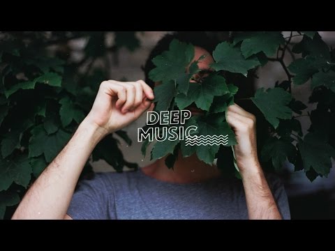 Song Of David Video