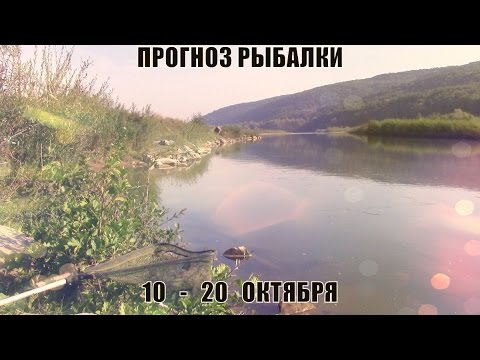 рыболовные секреты видео русаков владимир рыболовные секреты видео русаков владимир