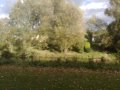 Day at the river