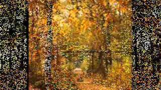 Kad Lisce Pada (When the leaves fall) MUSIC