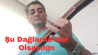 Şu Dağlarda Kar Olsaydım
