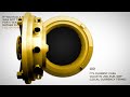Gold Bullion or Cash