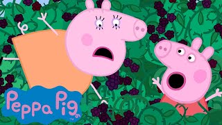 Peppa Pig Goes Berry Picking 🐷🌳 Peppa Pig Official Channel Family Kids Cartoons