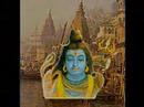 Om Namah Shivaya