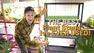 Spider Farmer Just Did It This Plant Stand Rocks