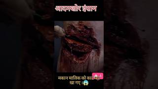 आदमखर इसन हलवड मवज हद म