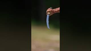 Katana Vs Kurşun