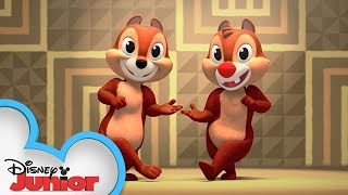 "Soro Soke” Song | Shake Your Tail with Chip ‘N Dale! | @Disney Junior