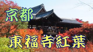 京都の東福寺の紅葉です
