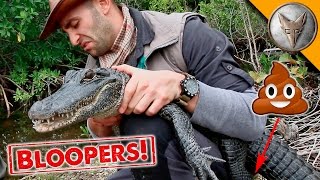 Alligator Poops On Host