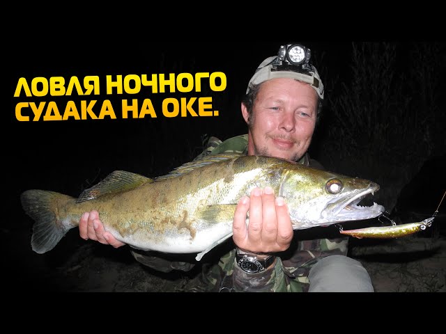 Места в подмосковье для ловли судака Места в подмосковье для ловли судака