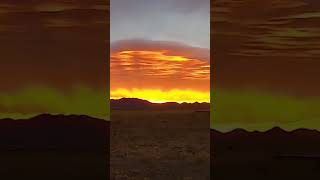 Mexican Sunrise