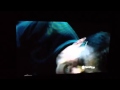 Misplaced frame of Voldemort. He likes to party.