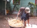 mushroom cultivation