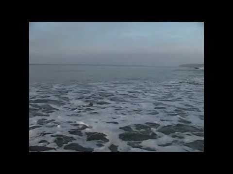  Fishing   on Fly Fishing For Sea Bass In Ireland   Serta Fly Fishing