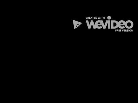 10 Days Video