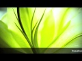 Ayahuasca bad trips... Why and what to do...
