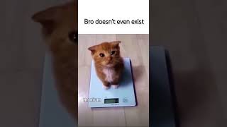 Bro Doesnt Even Exist- Viral Creds To  