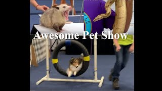 Awesome Pet Show, Fredericksburg, Virginia (with comments from the remarkable organizations)