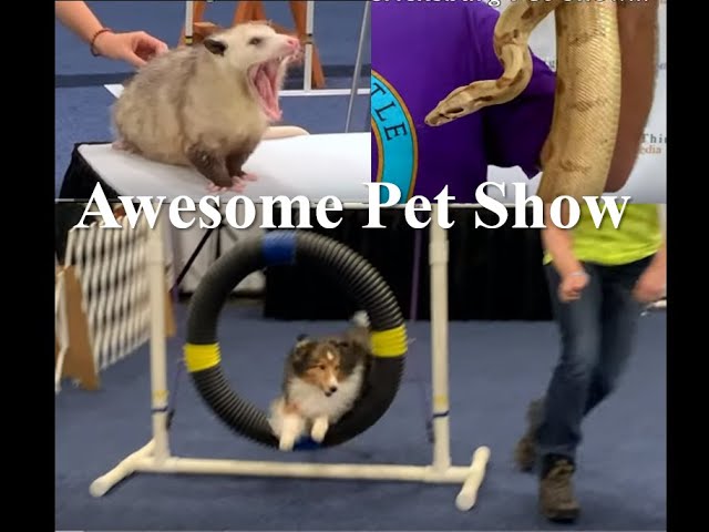 Wild Events