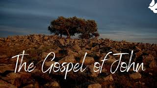 The Gospel of John Chapter 14