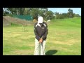Golf - Senior Lesson Warm Up Drill, with John Davis
