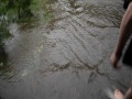 Видео Потоп в Киеве 6 июня 2012 [ 6.06.2012 ]