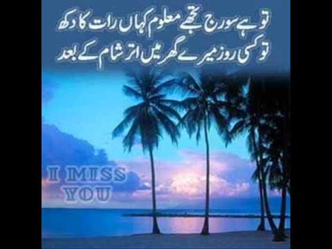 don no 1 n.v