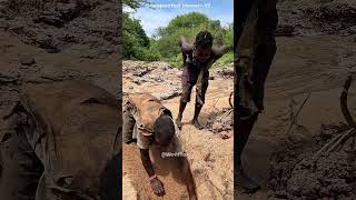 How These Tribes Find Water For Their Cows?