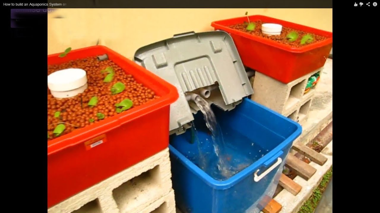 Aquaponic System For Beginners (guide) 2014 . Home Aquaponic System on 