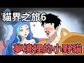 白蛋貓界之旅6|一邊做夢一邊前往貓界吧! |蛋哥超有事