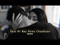 Tera Hi Bas Hona Chaahoon (Slowed+Reverb) | Haunted | Zamina