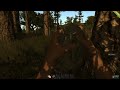 rust