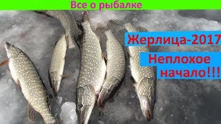 рыбалка на жерлицы 2017 рыбалка на жерлицы 2017
