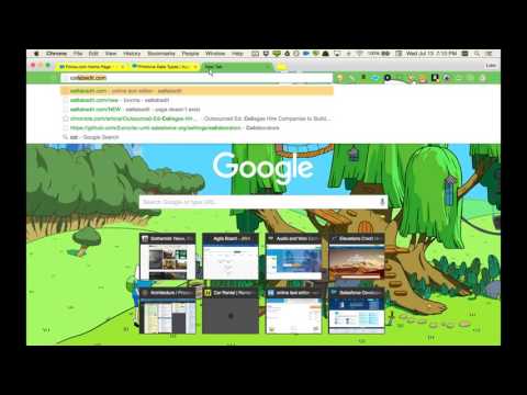Apex Workshop Webinar 2: Data Types