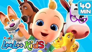 Fun Kids Songs -Back To School - With Animals From Looloo Kids - 40 Minutes Compilation
