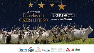 Leilão Estelas Do Guzera Leiteiro