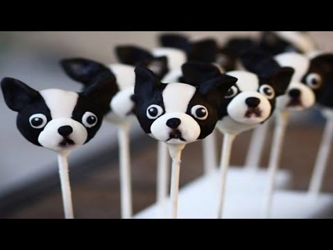 Youtube Cake Pop Recipe For Dogs