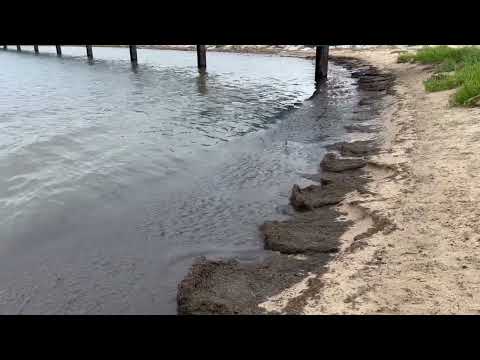 Muck on the Beach in Saginaw Bay at Port Austin