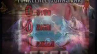 Ülkücü Militan